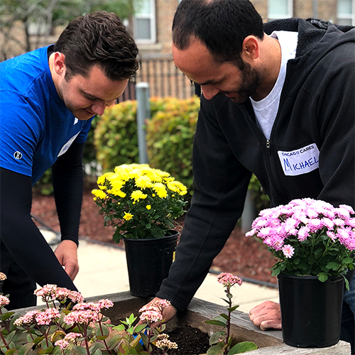 2人の男性が一緒に庭のベッドに花を植えます。黄色とピンクの花が付いた鉢植えの植物は、近くに働くと近くに座っています。
